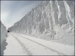 Qui chantait 'mon coeur a peur d'tre emmur dans vos murs de glace, condamn au bruit des camions qui passent ' ?