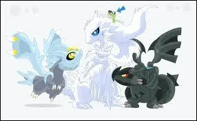 Quel Pokmon lgendaire correspond  la version Blanche ?