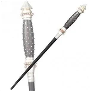 A qui appartient cette baguette ?