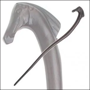 A qui appartient cette baguette ?