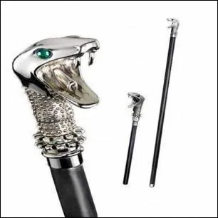 A qui appartient cette baguette ?