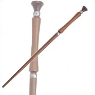 A qui appartient cette baguette ?