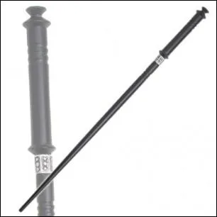 A qui appartient cette baguette ?