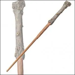 A qui appartient cette baguette ?