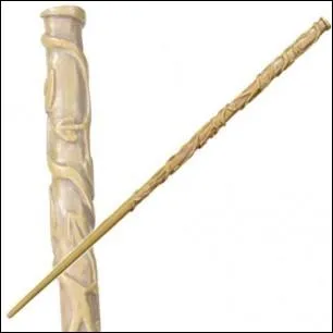 A qui appartient cette baguette ?