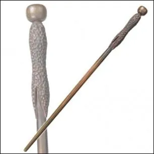 A qui appartient cette baguette ?