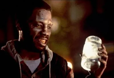 'Maximillian appartient  une longue ligne de vampires exils depuis des sicles aux Carabes. Il dcide de gagner New York dans l'intention d'y trouver sa semblable, qui lui donnera descendance'.