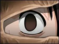 Elle force  dormir ! Elle est utilise par Yamamoto sur Hinamori quand Hinamori commence  parler d'Aizen, lors de sa discussion avec Toushiro !