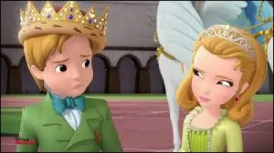 Les prinsesses aussi aime les dotacions du roi.