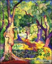 Oliviers  Cavalire :