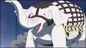 Qui a mang le fruit du Pachyderme ?