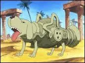 Qui a mang le fruit du Canid, version basset ?