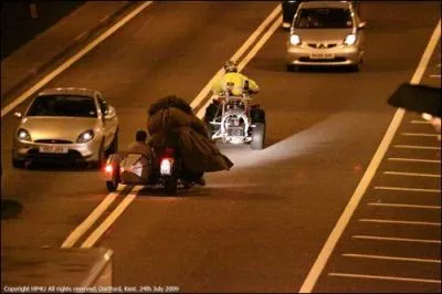 Avec qui Harry se rend-il au Terrier au dbut du flim (indice : dans la moto volante) ?