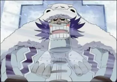 Wapol : Quel est le nom de son navire ?