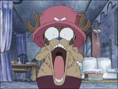 Tony Tony Chopper : Quel est son aliment favori ?