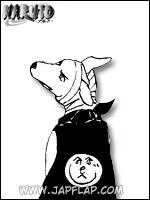 Le chien qui a toujours la tte en l'air, invoqu par Kakashi, se nomme :