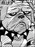 Ce gros toutou porte le nom simple de :