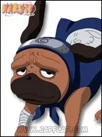 Pakkun, chien invoqu de Kakashi, est-il capable de se battre (contre un ninja par exemple) ?