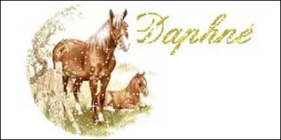 On fête les Daphné le 10 novembre. Mais quelle est sa signification ?