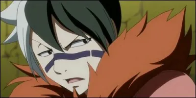 A quelle guilde appartient Totomaru, mage utilisant le feu ?