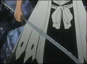 A qui appartient ce zanpakuto ?