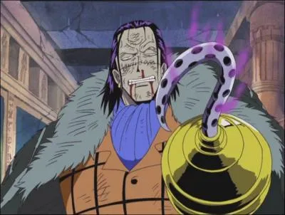 Crocodile : Combien de combats a-t-il livrs face  Luffy ?