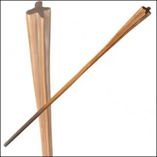 A qui appartient cette baguette ?