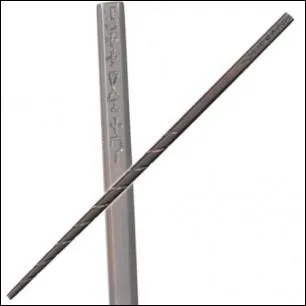 A qui appartient cette baguette ?