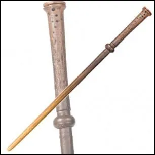 A qui appartient cette baguette ?