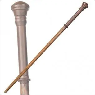 A qui appartient cette baguette ?