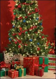 Pourquoi a t'on choisit un sapin comme 'arbre de Nol' ?