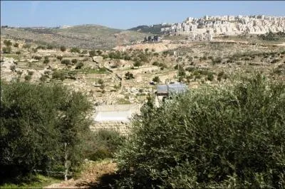 Selon les vangiles de Luc et Matthieu , Jsus est n  :