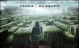 Que dcouvrent-ils  la fin du film ?