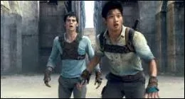 L'lite des blocards est charge d'explorer le labyrinthe afin d'essayer d'en dcouvrir la sortie. Quel surnom se sont-ils donns ?