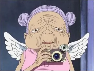 Amazon : Comment se nomme la monnaie qu'elle rclame aux nouveaux arrivants  Skypiea ?