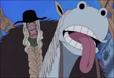 Doc Q : Avec quoi se bat-il ?