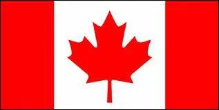 Quel pays porte ce drapeau ?