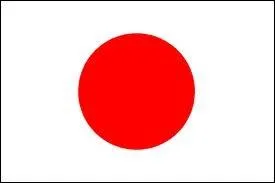 Quel pays porte ce drapeau ?