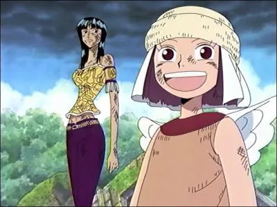 Aisa : Que matrise-t-elle ?