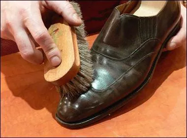 'Les politiciens, il y en a, pour briller en socit, ils mangeraient du cirage'