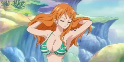 Lorsque l'équipage se sépare, où atterrit Nami ?