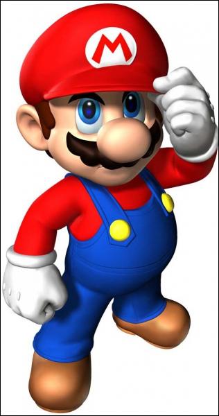 Pour commencer ce quizz, Mario est ...