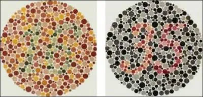 Quels sont les deux numros que l'on peut voir ?