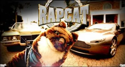Dans quel pays a t invent Rap Cat ?