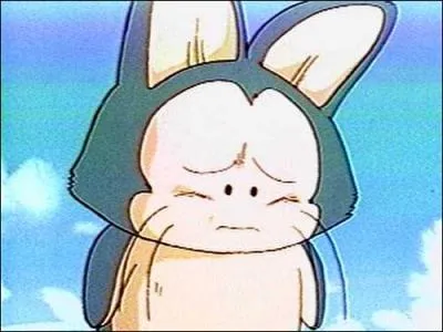 Dragon Ball - Qui est le compagnon de Plume, chat volant ?