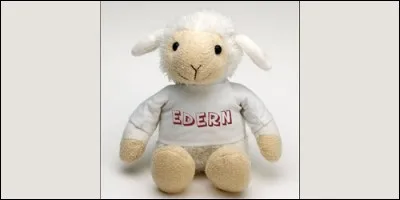 Quelle est la signification du prénom Edern, d'origine celtique ?