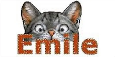 Que signifie le prénom Emile, d'origine latine ?