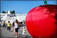 Quel est ce ballon ?