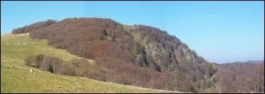 Quel est ce ballon ?