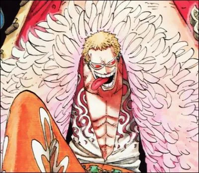 Quelle est celle de Doflamingo ?